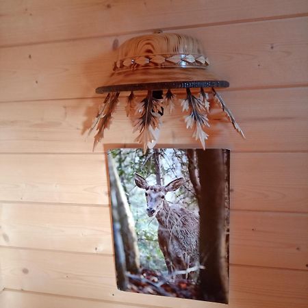 Domek Na Farmie Szaflary Buitenkant foto
